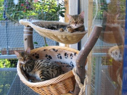 Takota und Peppina auf dem Balkon