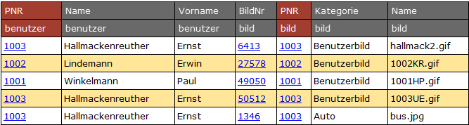 Ergebnistabelle des SQL-Befehls. Es werden die Benutzer nur jeweils mit passenden Bildern angezeigt.