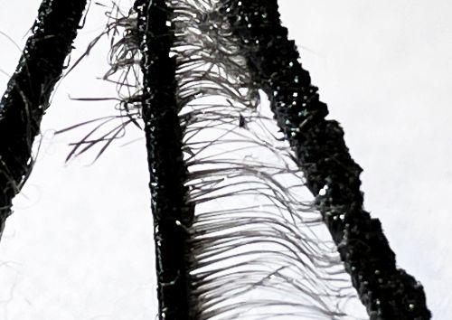 Zwischen zwei vertikalen Plastikelementen viele horizontale d&uuml;nne Plastikf&auml;den