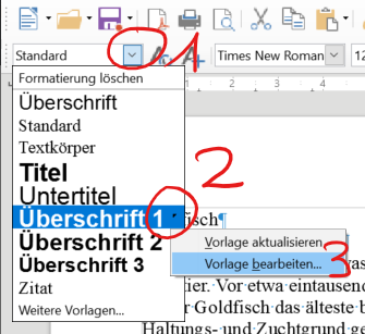 Formatvorlagen &auml;ndern
