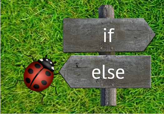 Karas Welt Kara in ihrer/seiner Welt