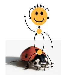 zufi_kara_250.png zufi