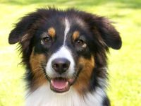 Foto von Bailey Foto von Bailey