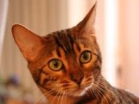 Foto von Takota Foto von Takota