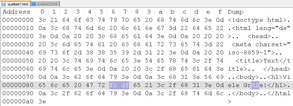Hexeditor Datei 1 (in Notepad++)
