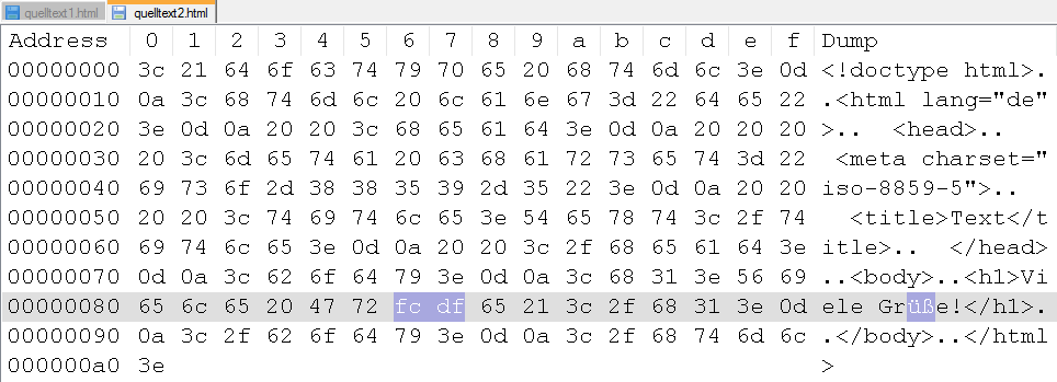 Hexeditor Datei 2 (in Notepad++)