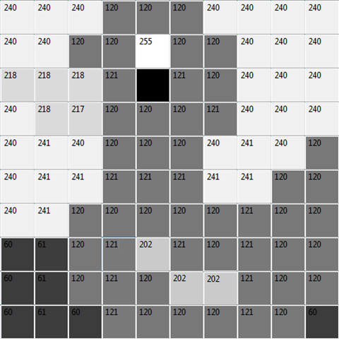 Ente Schwarz-Weiß 2 Ente Schwarz-Weiß 2