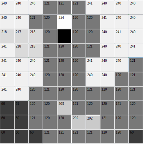 Ente Schwarz-Weiß 3 Ente Schwarz-Weiß 3