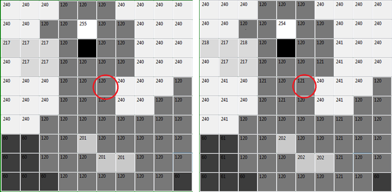 Ente Schwarz-Weiß 1 Ente Schwarz-Weiß 1