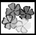 Blumen in Graustufen