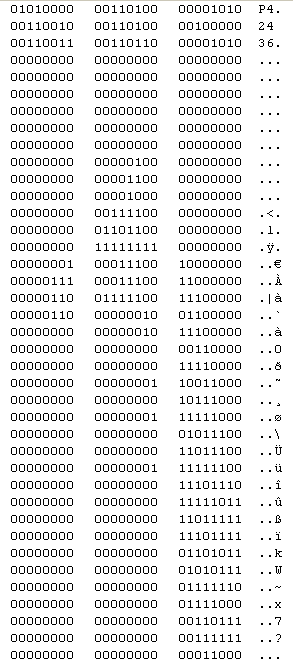 Darstellung mit dem Hex-Editor