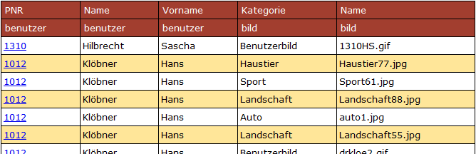 Ergebnistabelle des SQL-Befehls. Benutzer aus Trier mit ihren Bildern. Nur relevante Attribute werden gezeigt.