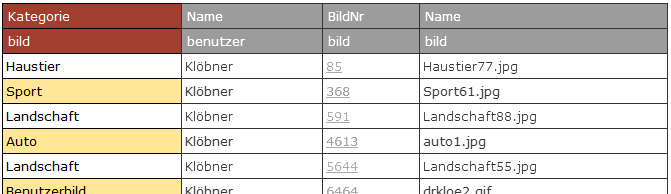Verborgene Spalten in der Ergebnistabelle werden hier grau hinterlegt zur Verdeutlichung angezeigt.