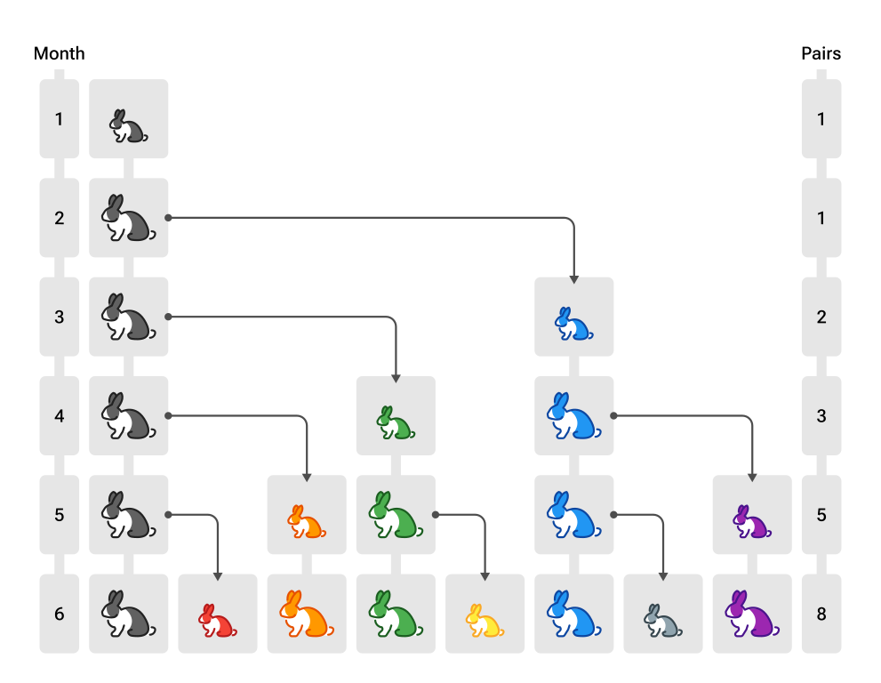 Kaninchenvermehrung Kaninchenvermehrung