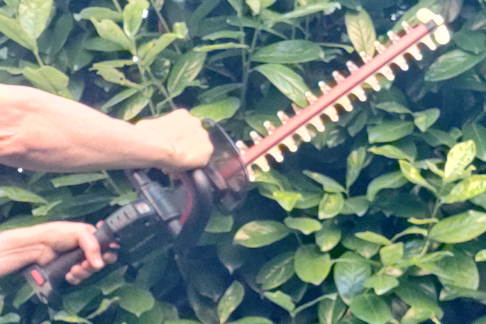 Hecke schneiden Bild einer Heckenschere