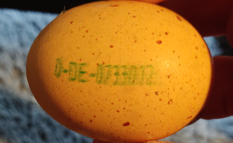 Ei mit Code Ei mit Code