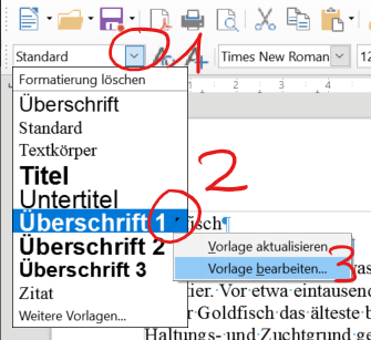 Formatvorlagen ändern