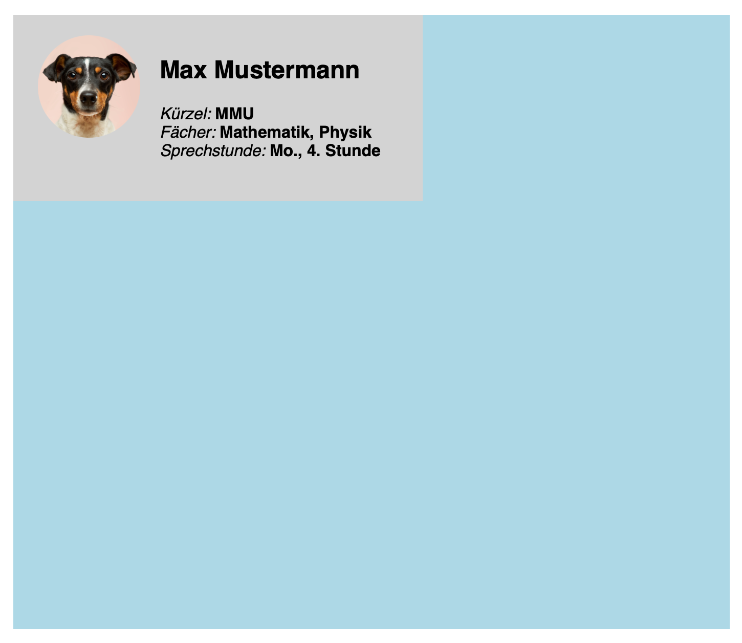 mögliche Lösung breites Layout