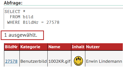 Ergebnistabelle mit nur einem Datensatz: Bild mit Nummer 27578