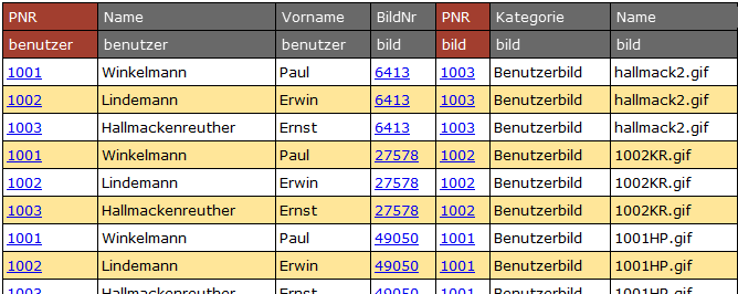 Ergebnistabelle des SQL-Befehls. Datensätze der Benutzer werden mehrfach gezeigt - verbunden mit nicht zugehörigen Bildern.