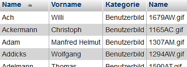 Ergebnistabelle des SQL-Befehls mit doppelten Spaltennamen (Name)