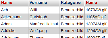 Ergebnistabelle mit doppelten Spaltennamen