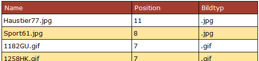 Ergebnistabelle des SQL-Befehls mit berechneten Spalten Position und Bildtyp